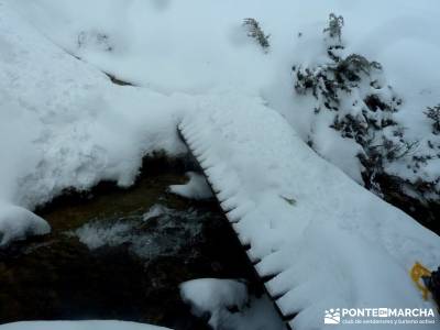 Raquetas de Nieve - Puerto de Cotos; rutas en madrid; actividades de madrid;rutas senderismo sierra 